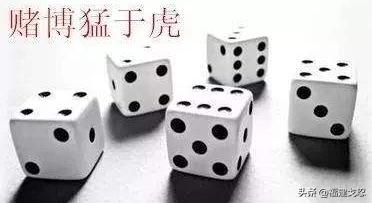 赌徒自述的亲身经历,赌徒亲身经历真实案例