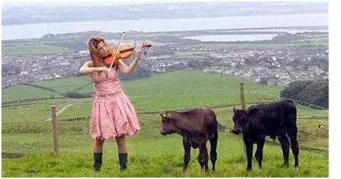 日本“国宝级精液”差点进入中国,吓坏了日本人