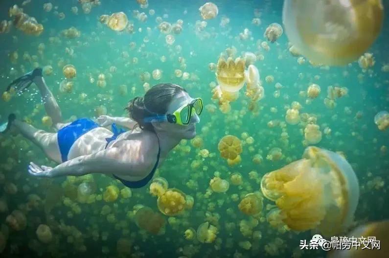 甯曞姵姘存瘝婀栫殑姘存瘝鍙互鎽稿悧,甯曞姵姘存瘝杩樿兘鎶撳悧