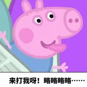 推荐小猪佩奇的表情包,小猪佩奇表情包在干什么呢
