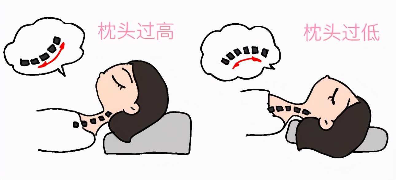 7-12岁适合乳胶枕还是荞麦枕,羽绒枕头和荞麦枕哪个好