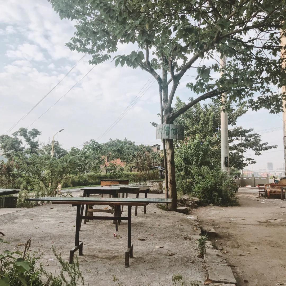 街边的苍蝇馆子,重庆的火锅苍蝇馆子第一名