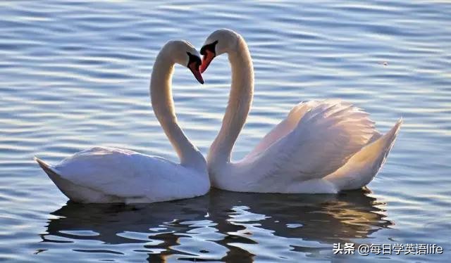 情人节给自己写一封情书模板,情人节写给自己的情书简单的