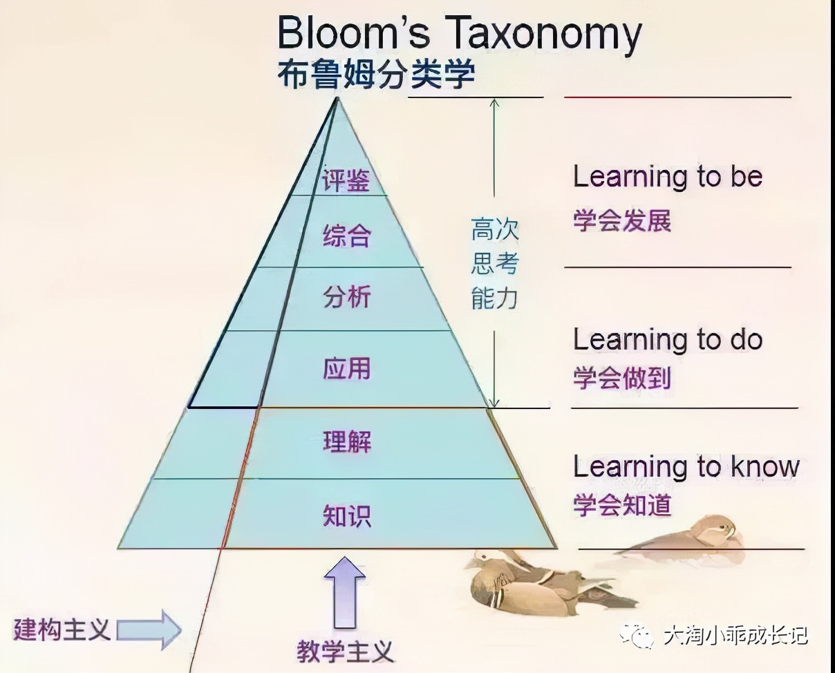 脑洞大开！火星人埃隆马斯克的神秘学校“AstraNova”开放申请
