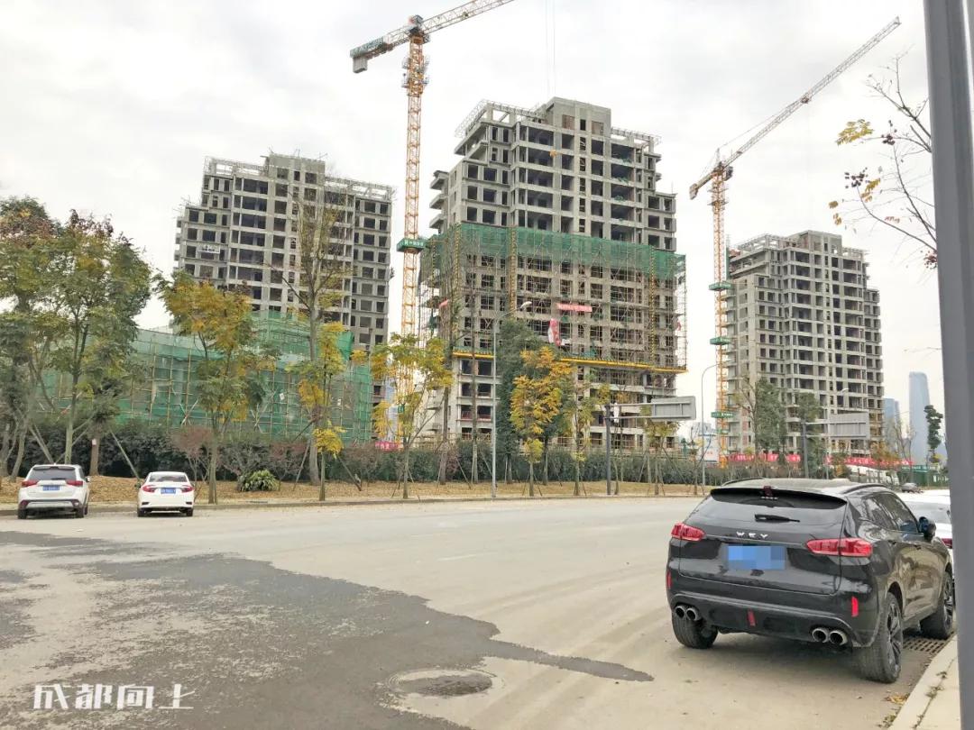 成都2024年火爆项目,巨变前夜智能网联汽车