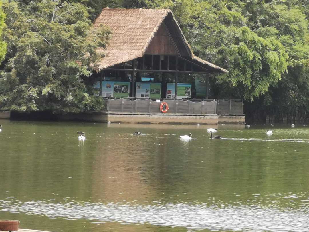 和家人一起去长隆,四月和朋友们来长隆动物园