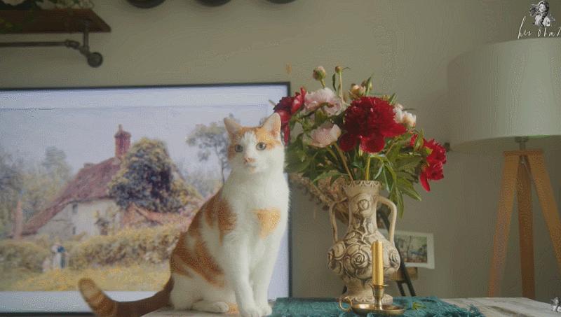 李子柒靠海外视频月入80万,德国版李子柒