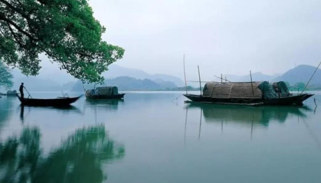 “百千桑梓地，亿万老家人”浙江省—丽水市—莲都区（下）