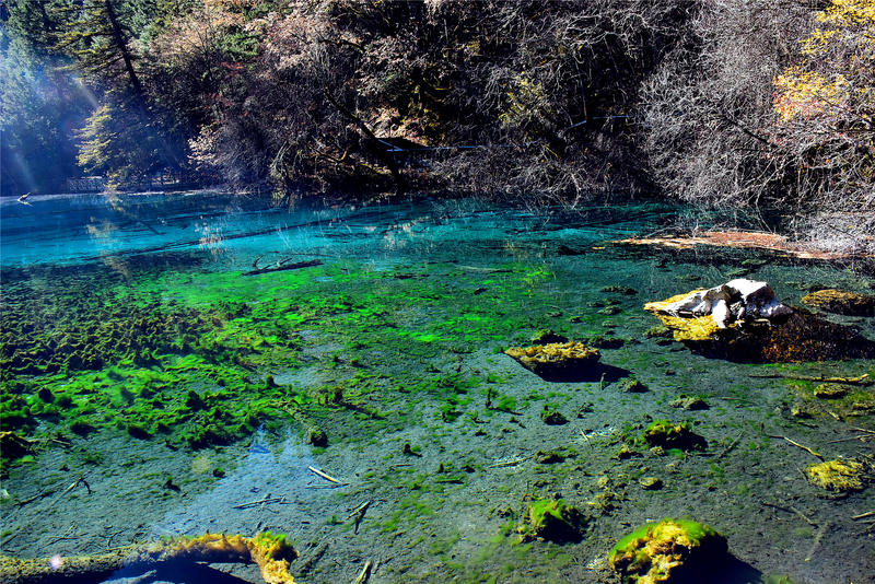 置身于童话中的九寨沟,畅游人间仙境黄龙九寨沟七日游
