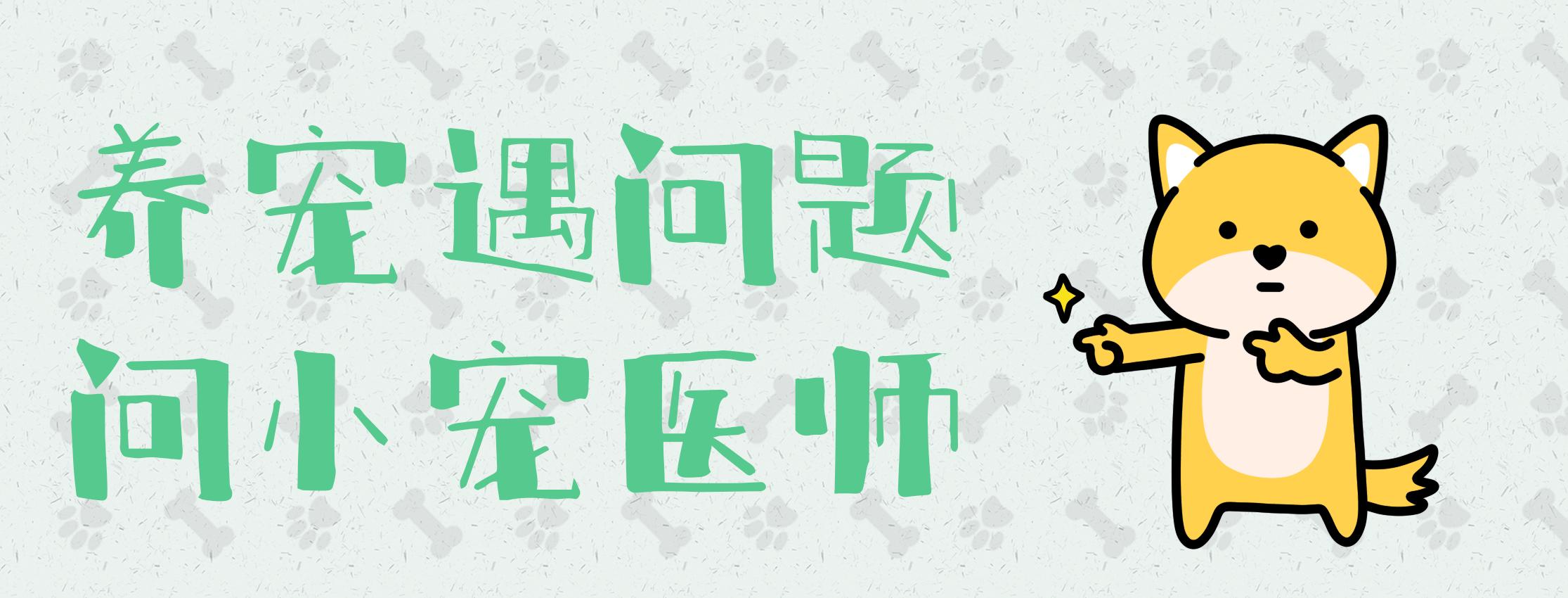 硫磺皂洗狗狗皮肤病,狗狗有皮肤病可以用硫磺皂洗吗