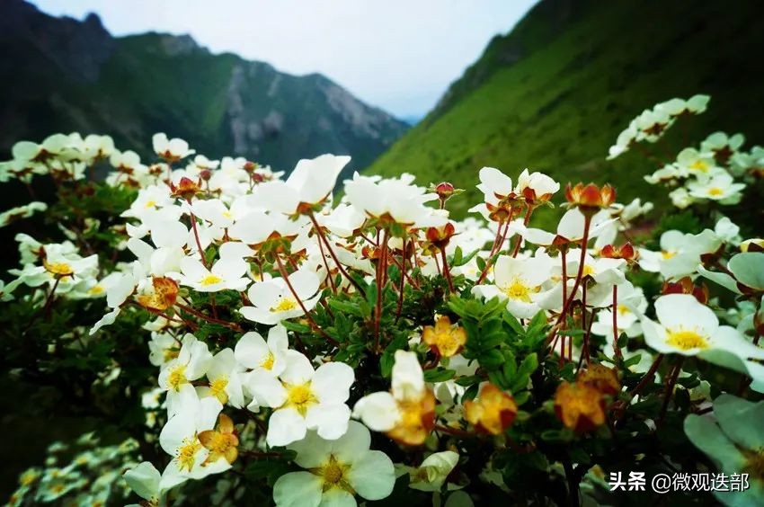小城迭部，只此一眼此生难忘​