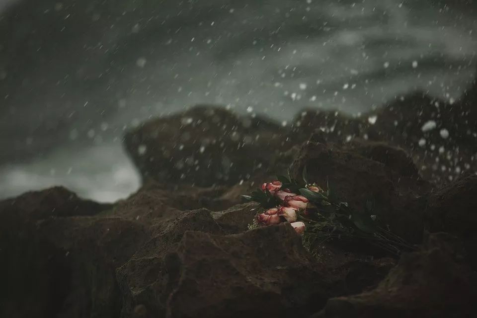 焦虑型vs回避型依恋者该如何挽回,回避型依恋和焦虑型依恋相爱相杀