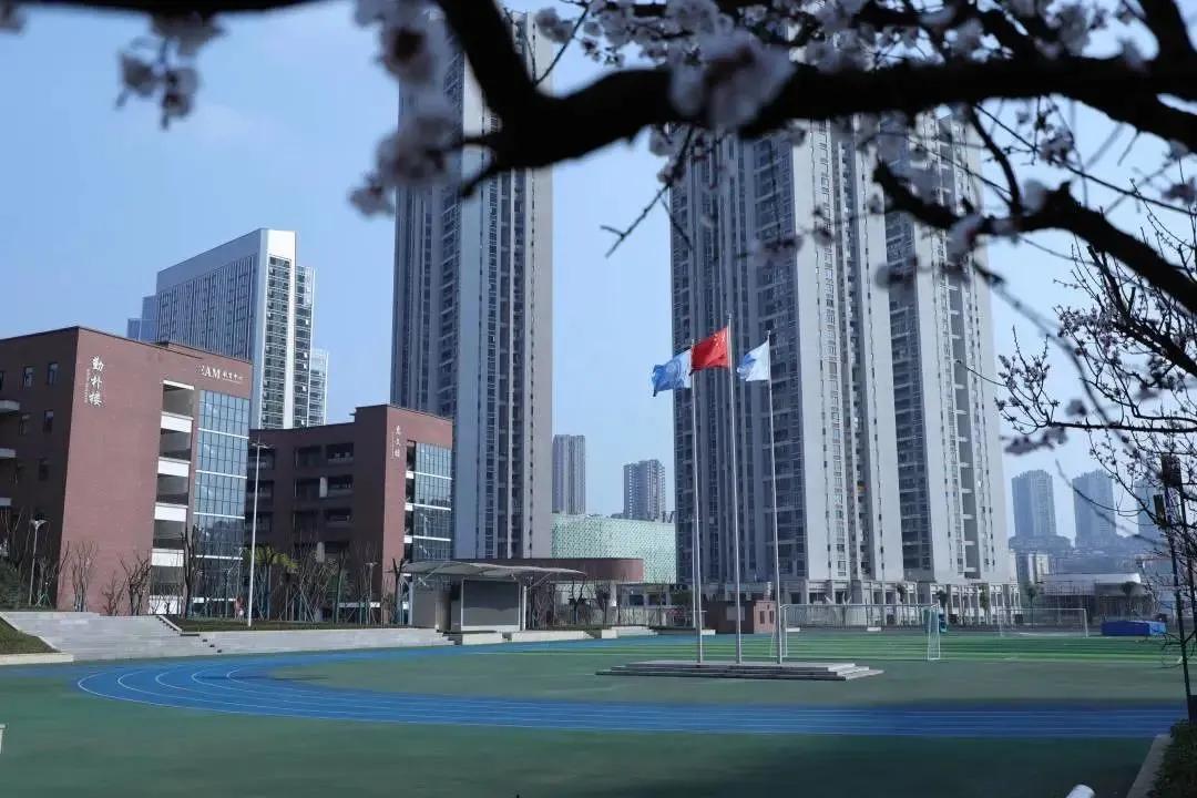 照母山和汽博中心,照母山对比汽博中心