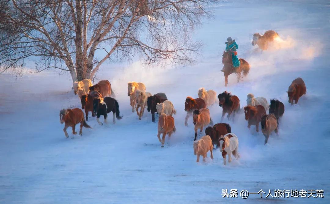这才是12月最值得去的旅行地,11月12月去哪里旅游最美