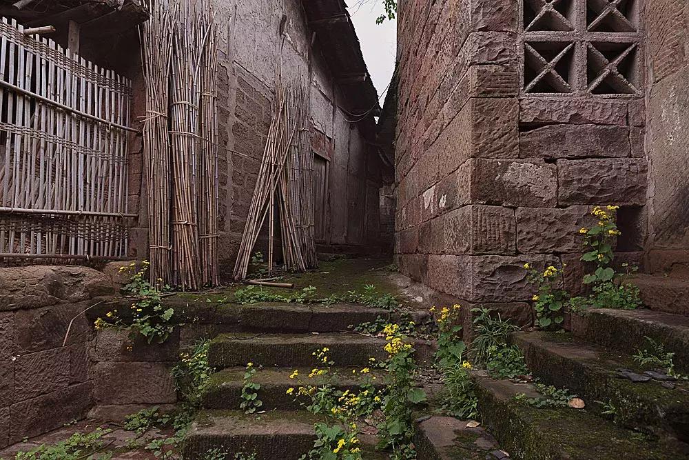 渝北枇杷正黄，冒冒失失穿越铁壁、胜保、斗碗三寨