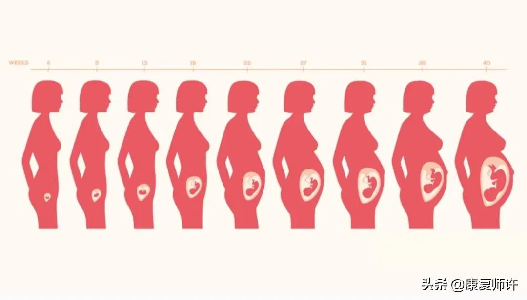 产后腹直肌分离的解决方法,产后腹直肌分离怎么处理