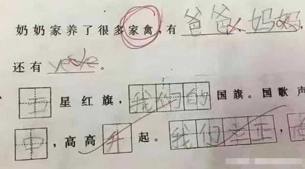 小学学霸作业本批改,小学生作业批改奇葩