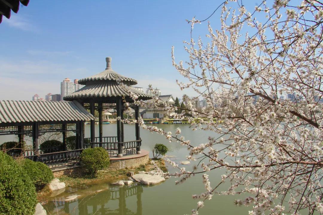 天津将新添一座公园预计开放时间,天津即将开放的公园在哪里