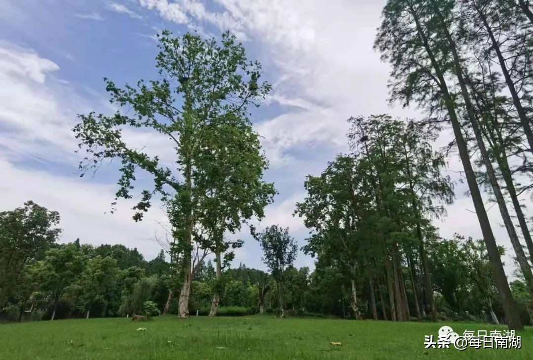 南湖的生态公园,南湖公园在未来哪里