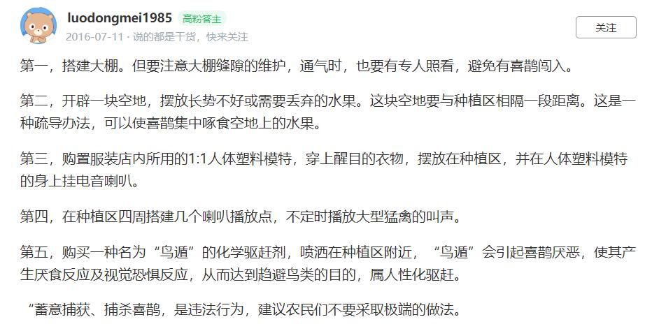 喜鹊的主要特征有哪些,喜鹊的八大特征