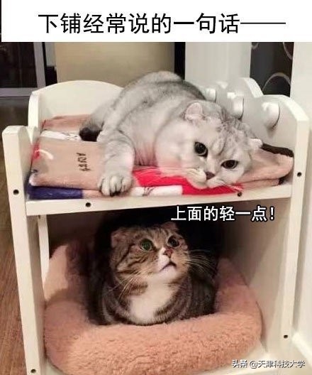 大学生生活真实案例,大学生真实生活实录