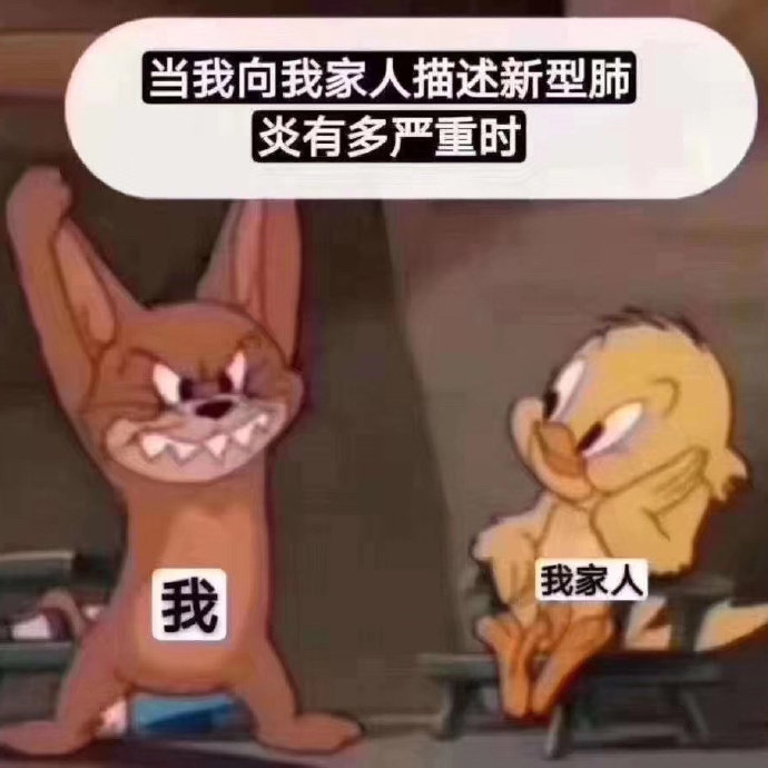 老鼠可以玩什么,老鼠可以玩杂技么