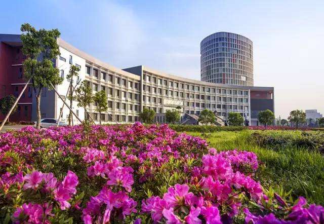 就业好分数不高的专科学校,考不上一本有哪些好专业