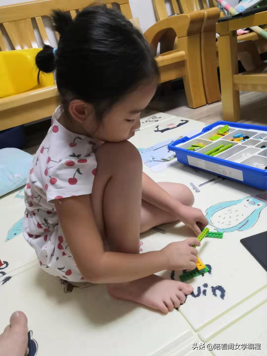 陪女儿玩的积木,陪娃一起玩乐高