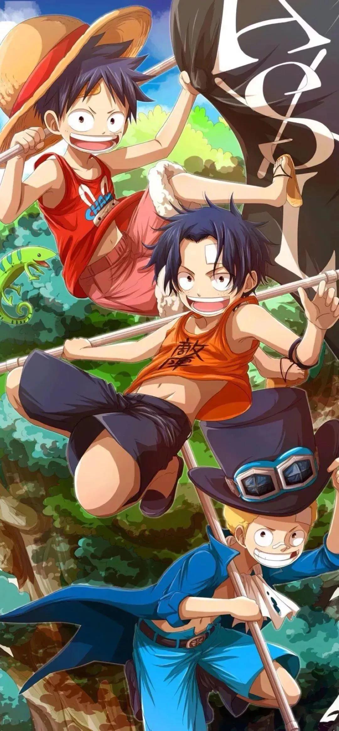 高清海贼王动漫壁纸,壁纸海贼王电脑壁纸