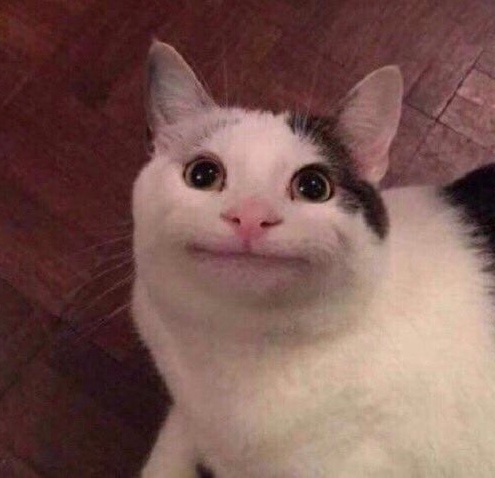 一个倒霉蛋的两年驾考途,完整版