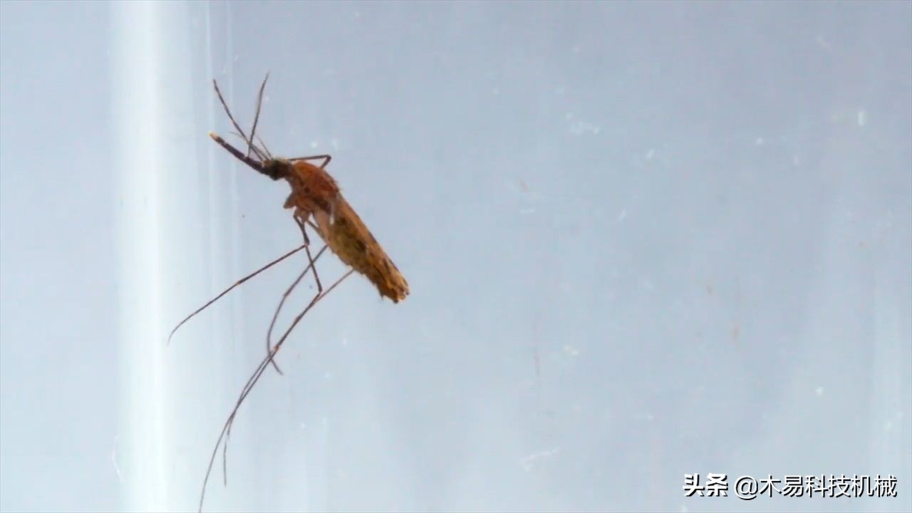 高科技灭蚊灭蟑螂小神器,自制灭蚊子神器第一名