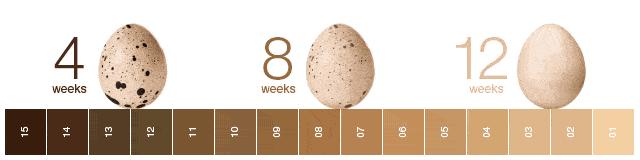 抗衰老用哪种护肤品好一点,真正有效的抗衰老护肤品有哪些