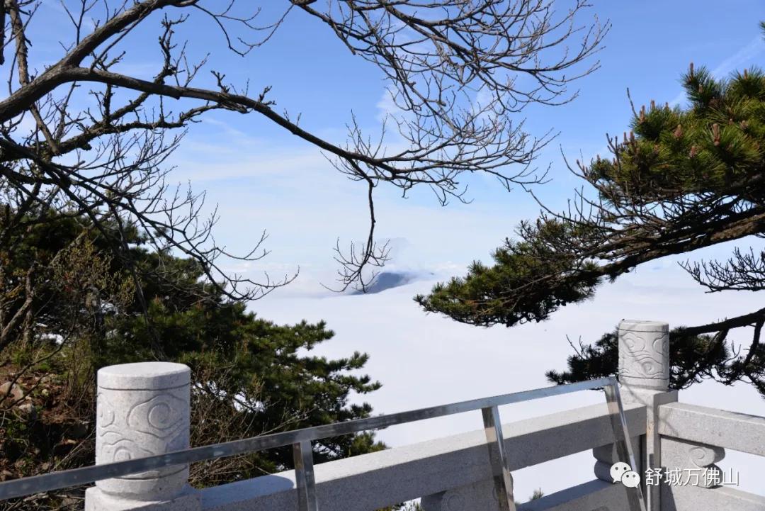 舒城万佛山申请5a级旅游景区,舒城万佛山风景区门票