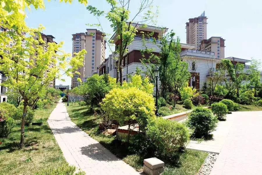 沈阳于洪区新建学校项目规划,2019沈阳各区新建学校