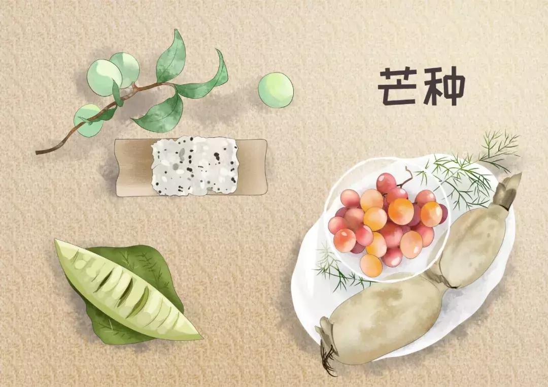 芒种黄龄清唱,芒种百里玄策