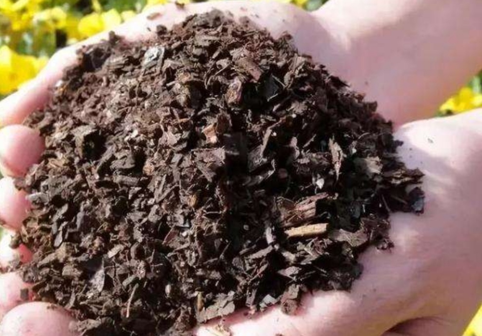 如何处理用过的花土呢,花土怎么样才能重复利用还肥沃