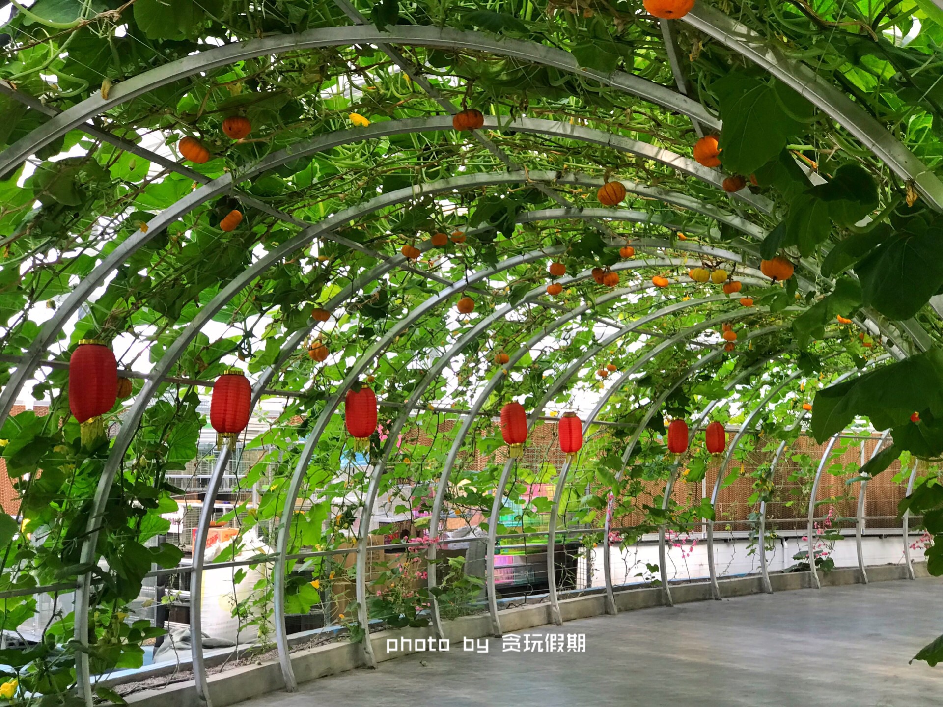 周末去河北攻略,周末到河北看海