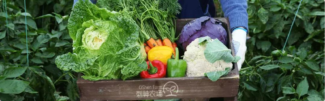 惠州南昆山不花钱旅游攻略,惠州旅游攻略推荐一下