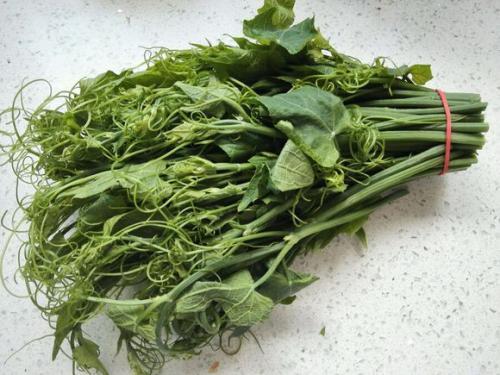 叶菜品类表,叶菜类一览表