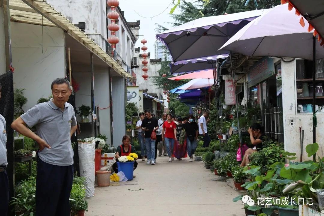 <html>
<head><title>502BadGateway</title></head>
<body>
<center><h1>502BadGateway</h1></center>
<hr><center>nginx</center>
</body>
</html>
<!--apaddingtodisableMSIEandChromefriendlyerrorpage-->
<!--apaddingtodisableMSIEandChromefriendlyerrorpage-->
<!--apaddingtodisableMSIEandChromefriendlyerrorpage-->
<!--apaddingtodisableMSIEandChromefriendlyerrorpage-->
<!--apaddingtodisableMSIEandChromefriendlyerrorpage-->
<!--apaddingtodisableMSIEandChromefriendlyerrorpage-->
