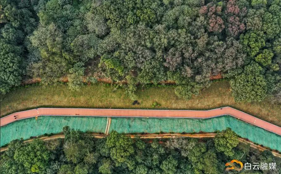 广州纪念堂到白云山步道,中山纪念堂至白云山步道入口