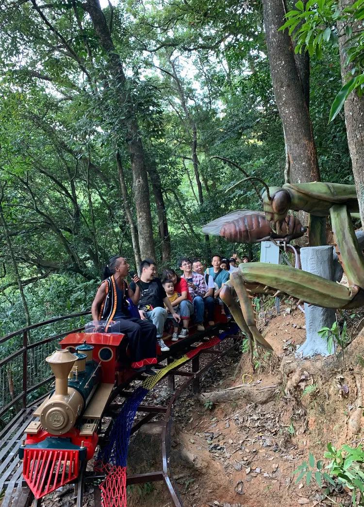 有玩有吃的礼物,有玩有吃的旅游景点