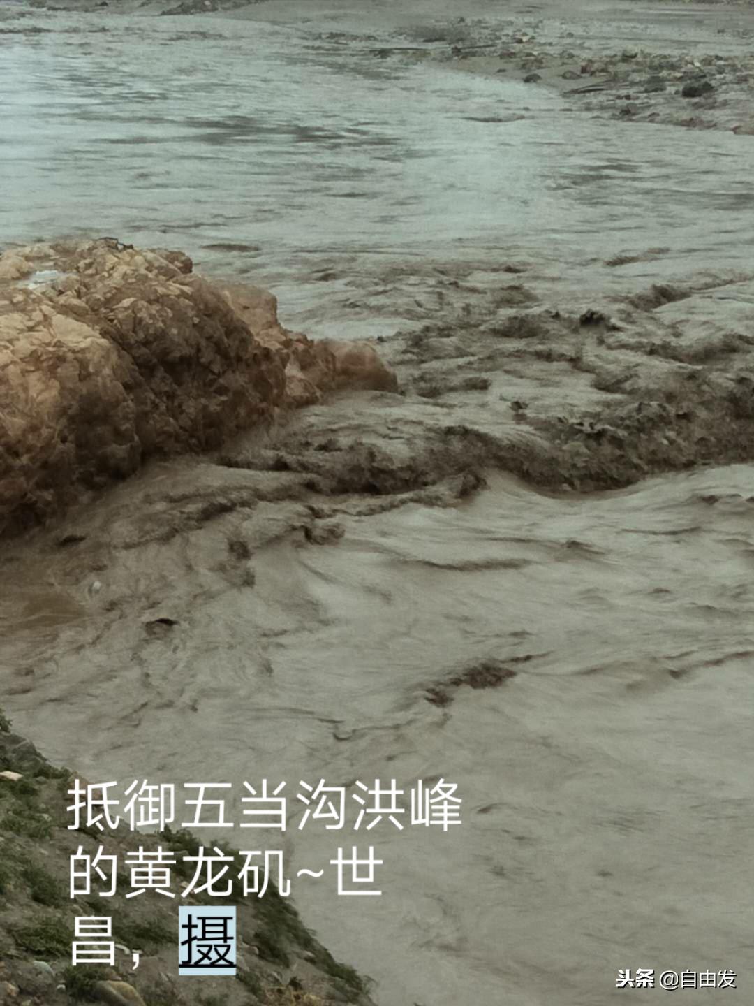 东园青史三百年（一）