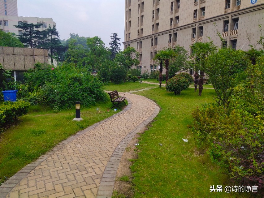 真没想到,这里的生活还很精彩(八)