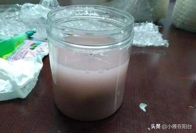 绿萝叶子发黄多久浇次水,绿萝叶子蔫了变软发黑是什么原因