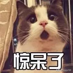 今年买房都有哪些政策下调,买房政策释放哪些信号