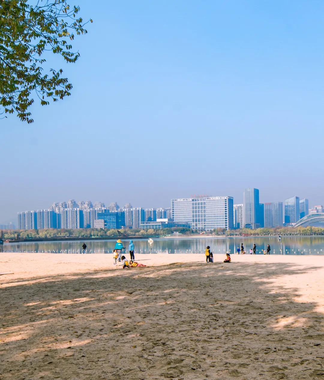 安徽省合肥市天鹅湖,安徽合肥的天鹅湖