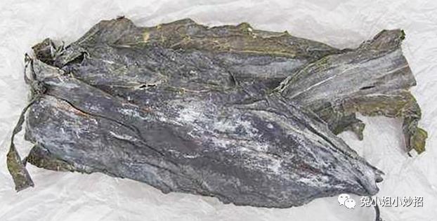 大米生虫有飞蛾怎么办,大米生虫子飞蛾处理小诀窍图片