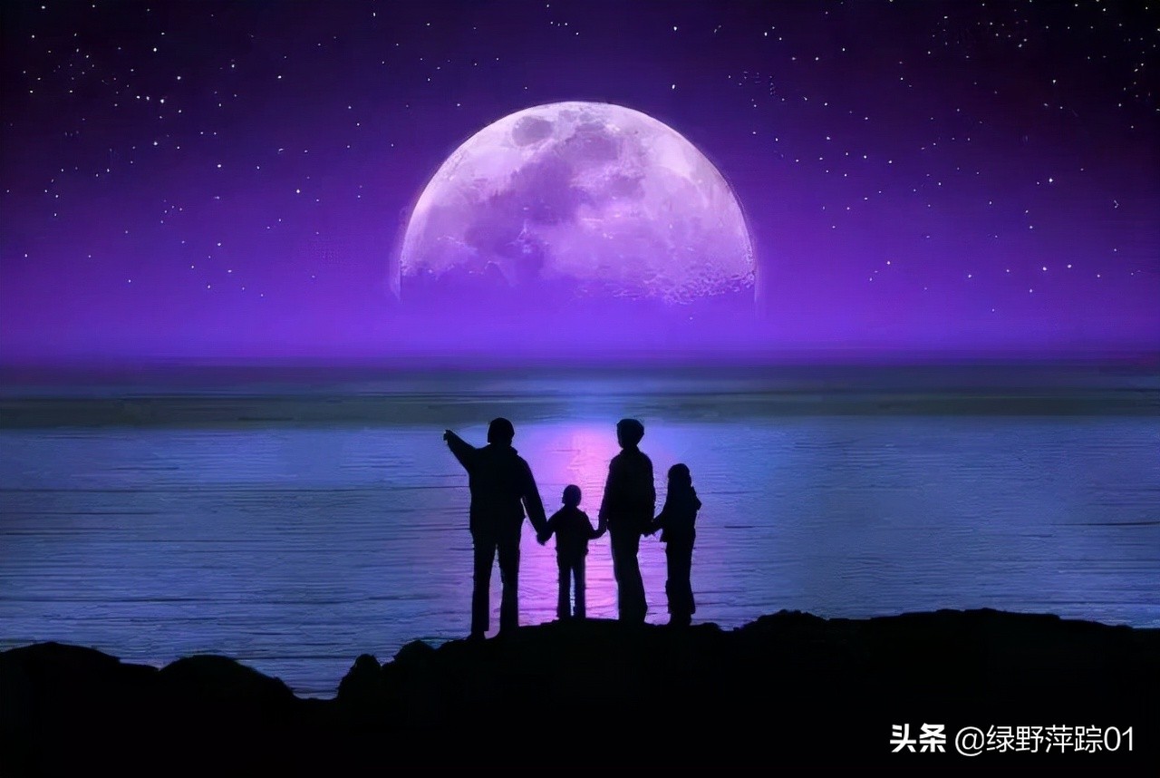 苏轼水调歌头演绎,苏轼写的水调歌头歌曲