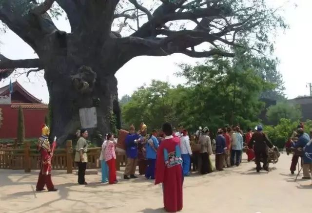江西填湖广和湖广填四川原因,江西湖广填四川